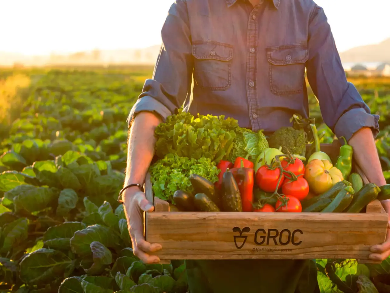 Groc