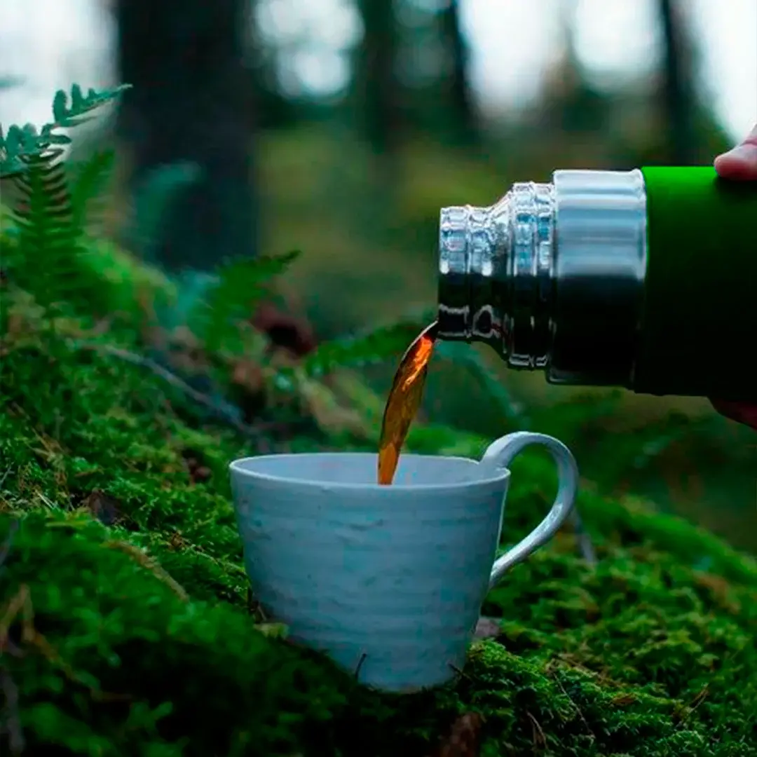 Pouring hot tea from a green thermos into a white ceramic cup resting on lush forest moss.
